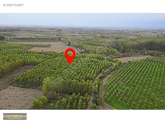 YATIRIM FIRSATI! ERENLER/ŞEYHKÖY MAH. 24.620 M² - SAKARYA ERENLER fotoğraf 28
