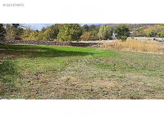 ERZİNCAN  ÜZÜMLÜ ORUÇLU KÖYÜNDE 2.068 M² BAĞ SATILIKTIR. - ERZİNCAN ÜZÜMLÜ fotoğraf 11