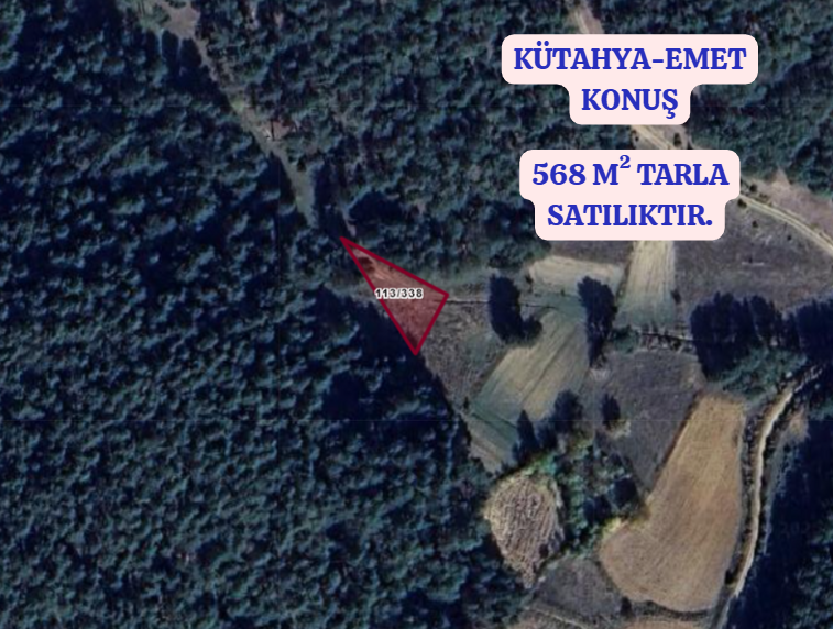 KÜTAHYA EMET KONUŞ   KÖYÜNDE  568   M²  TARLA  SATILIKTIR - KÜTAHYA EMET fotoğraf 2