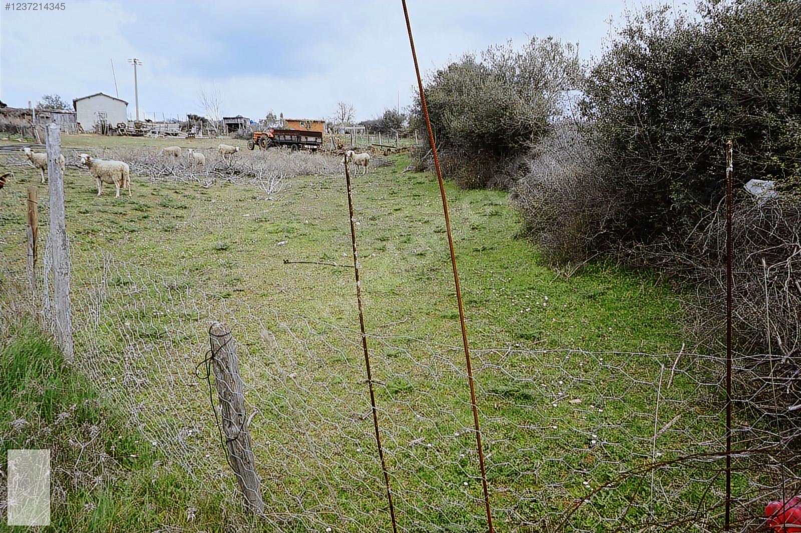ÇANAKKALE BAYRAMİÇ TEPECİK MAH 258 m2 ARSA - ÇANAKKALE BAYRAMİÇ fotoğraf 5