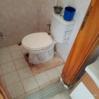 perşembe ramazan mahallesinde satılık köy evi ve arazisi. - ORDU PERŞEMBE fotoğraf 8