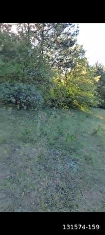 KASTAMONU ARAC DERECATI KÖYÜNDE SATILIK ARAZİ - KASTAMONU ARAÇ fotoğraf 3
