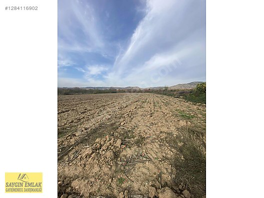 AMASYA MERKEZ DURUCA SATILIK TARLA 11.611 MK - AMASYA MERKEZ fotoğraf 11