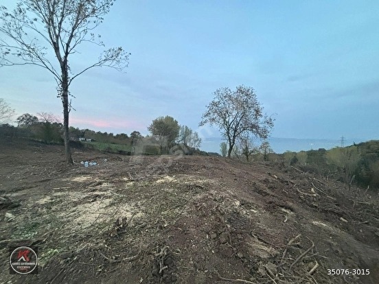 KARAMÜRSEL DEREKÖY’DE 19.309 M² KONUT ALANLI, TARIMSAL KULLANIMA UYGUN YATIRIM A - KOCAELİ KARAMÜRSEL fotoğraf 19