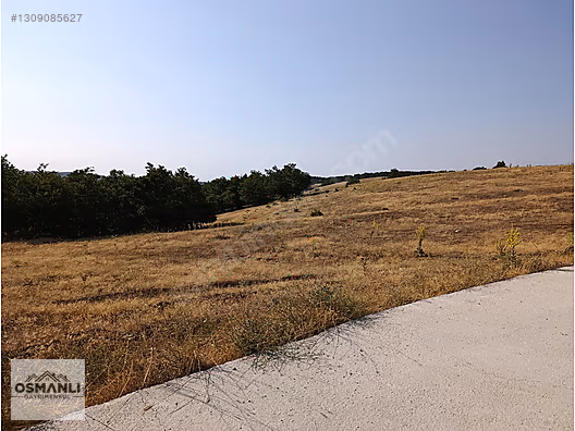 ASFALT KENRARI, DOĞA İÇERİSİNDE,4.200 M2 SATILIK ARAZİ - BİLECİK SÖĞÜT fotoğraf 2