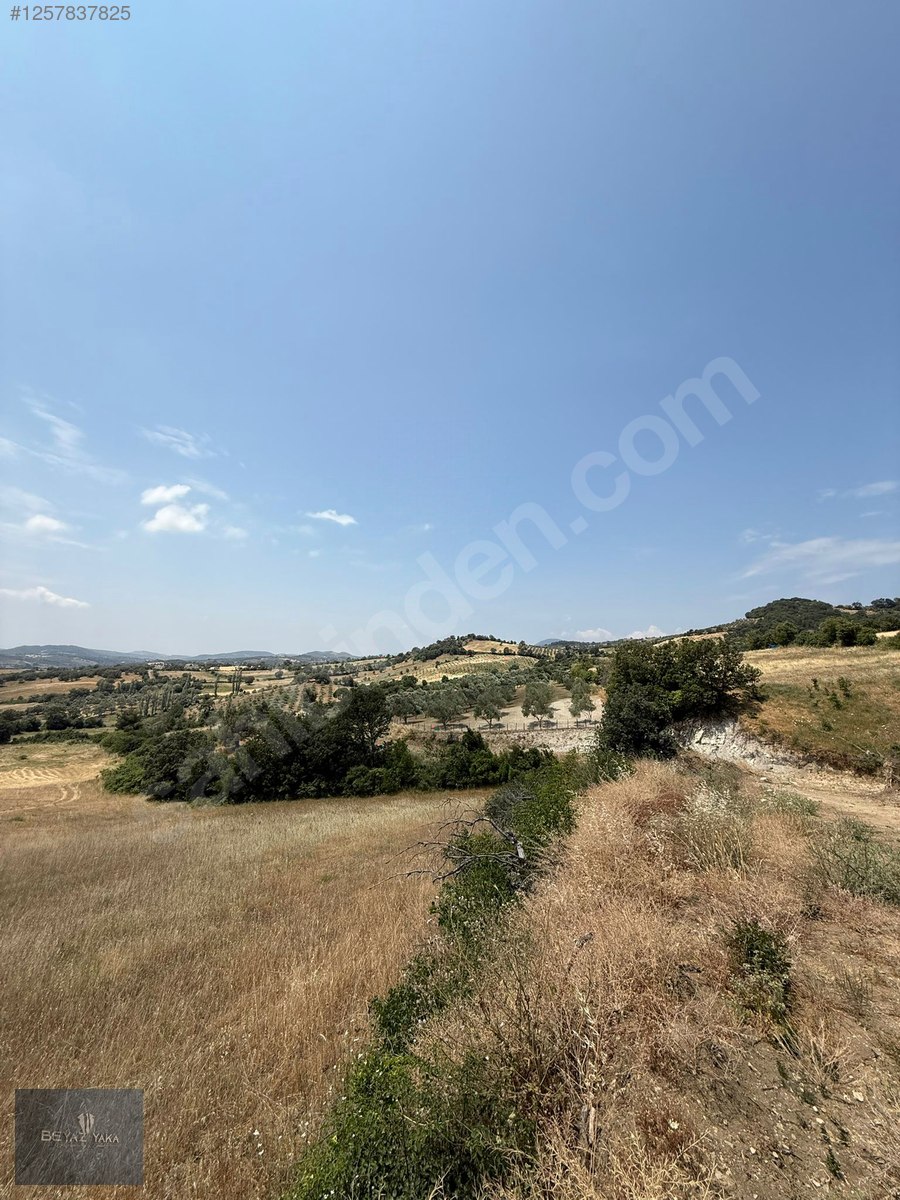 BEYAZYAKA'DAN BERGAMA ÜRKÜTLER MAH. SATILIK TARLA - İZMİR BERGAMA fotoğraf 8