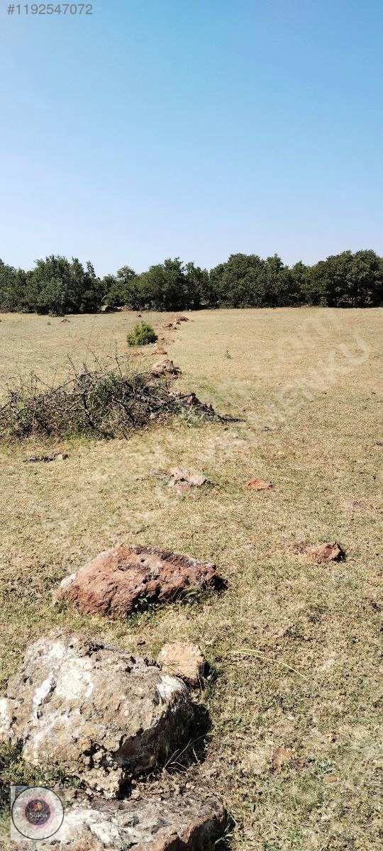 Kütahya merkez kozluca köyü nde satılık tarla - KÜTAHYA MERKEZ fotoğraf 23