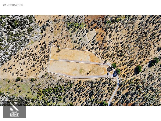 Kemalpaşa Ansızca Satılık 1406 m2 Bahçe - İZMİR KEMALPAŞA fotoğraf 34