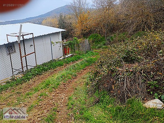 FATİH EMLAKTAN ŞAHİNYURDUNDA 956M2 SATILIK ZEYTİNLİK - BURSA GEMLİK fotoğraf 14