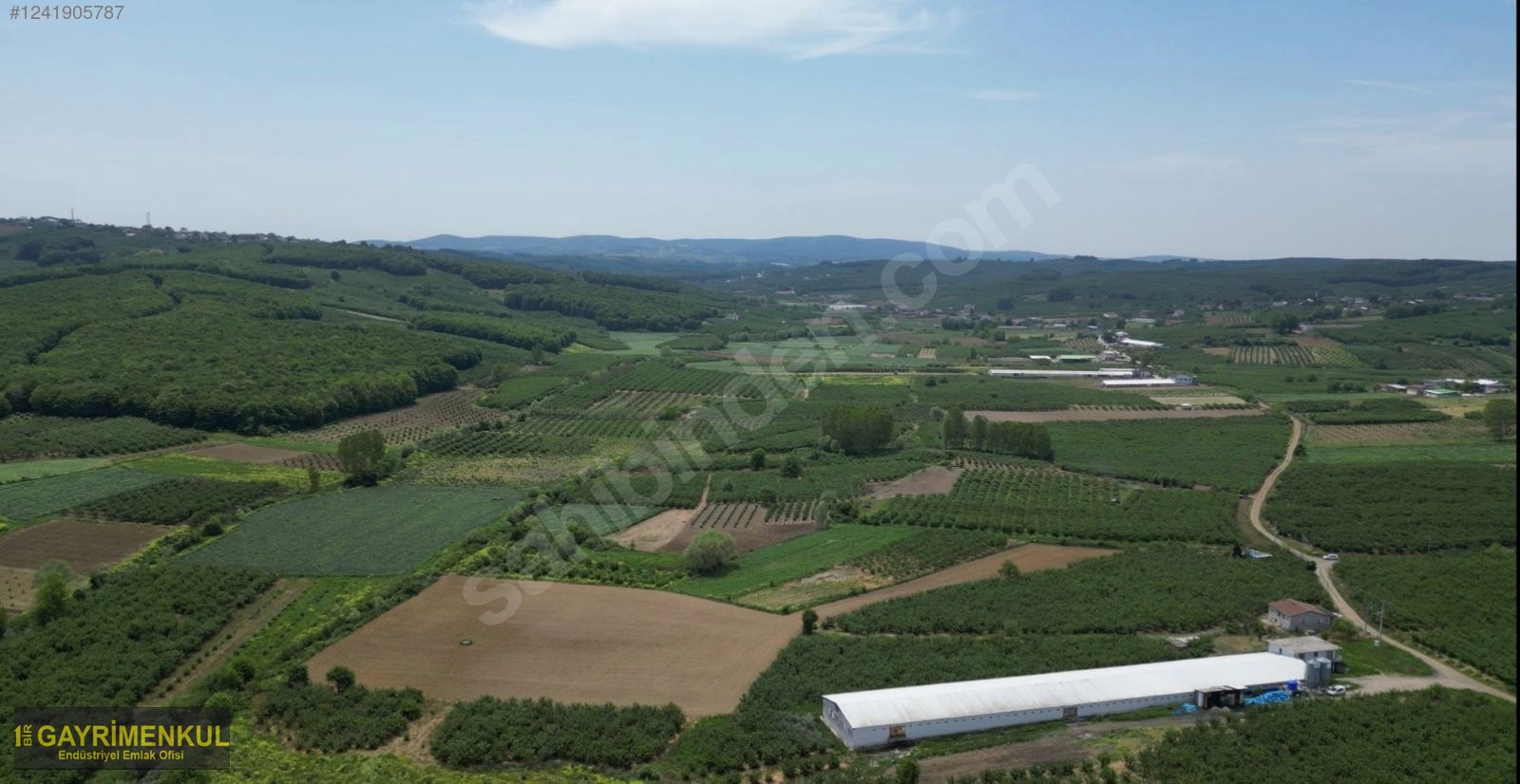 11.752 M² FIRSAT FINDIK BAHÇESİ SAKARYA KAYNARCA ZİAHMET MAH. - SAKARYA KAYNARCA fotoğraf 20