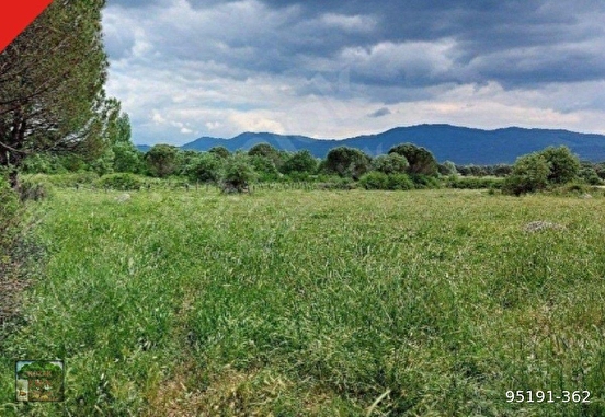 KOZAK HACIHAMZALAR MAH DE 5150 M2 İMARLI TARLA - İZMİR BERGAMA fotoğraf 3