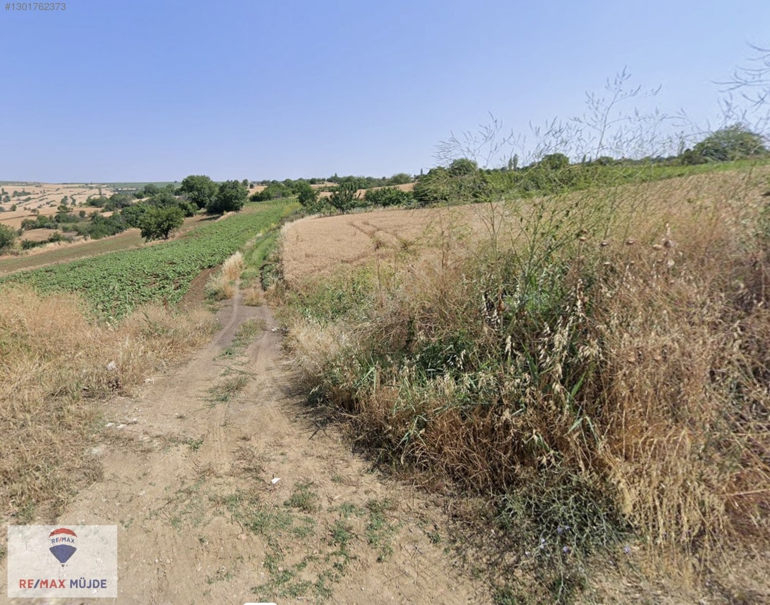 SÜLEYMANPAŞA ZAFER MAH.3.910 M2 RESMİ YOLA CEPHELİ TARLA - TEKİRDAĞ SÜLEYMANPAŞA fotoğraf 9