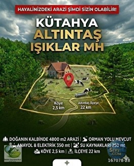 🚨 KÜTAHYA / ALTINTAŞ'TA DOĞANIN İÇİNDE 4800 M2 ARAZİ 🚨 - KÜTAHYA ALTINTAŞ fotoğraf 4