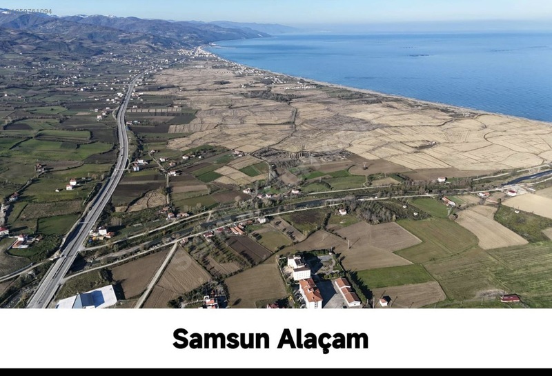 samsun alaçam pelitbükü'nde ana yol üzeri geniş cepheli tarla - SAMSUN ALAÇAM fotoğraf 4