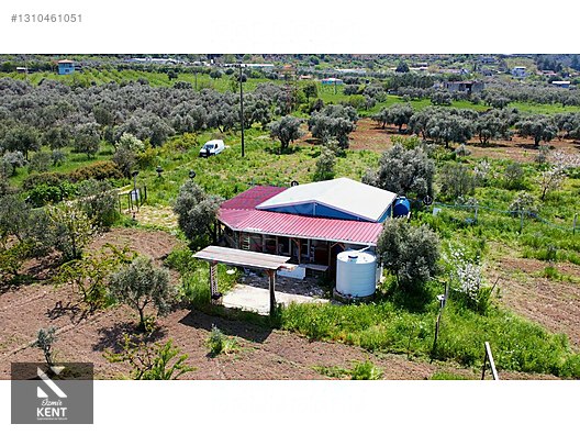 Kemalpaşa Halilbeylide Satılık 3000 m2 Bahçe 40 m2 Ev - İZMİR KEMALPAŞA fotoğraf 5