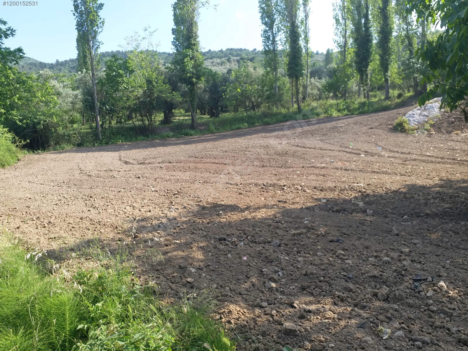BURSA İZNİK MÜŞKÜLE  KÖYÜNDE 1.209 M² ZEYTİNLİK SATILIKTIR - BURSA İZNİK fotoğraf 6