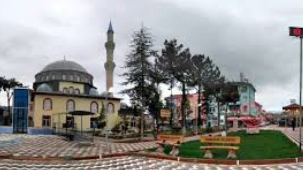 BİLECİK YENİPAZAR CAFERLER KÖYÜNDE 1.576 M² TARLA SATILIKTIR - BİLECİK YENİPAZAR fotoğraf 10