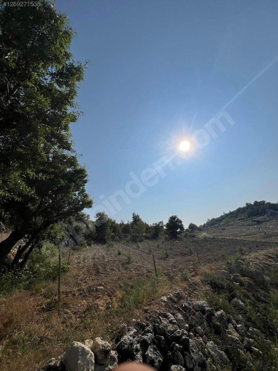   Mersin / Gülnar / Göktürk Mh. 1295 M² BADEM BAHÇESİ SATILIKTIR.   - MERSİN GÜLNAR fotoğraf 5