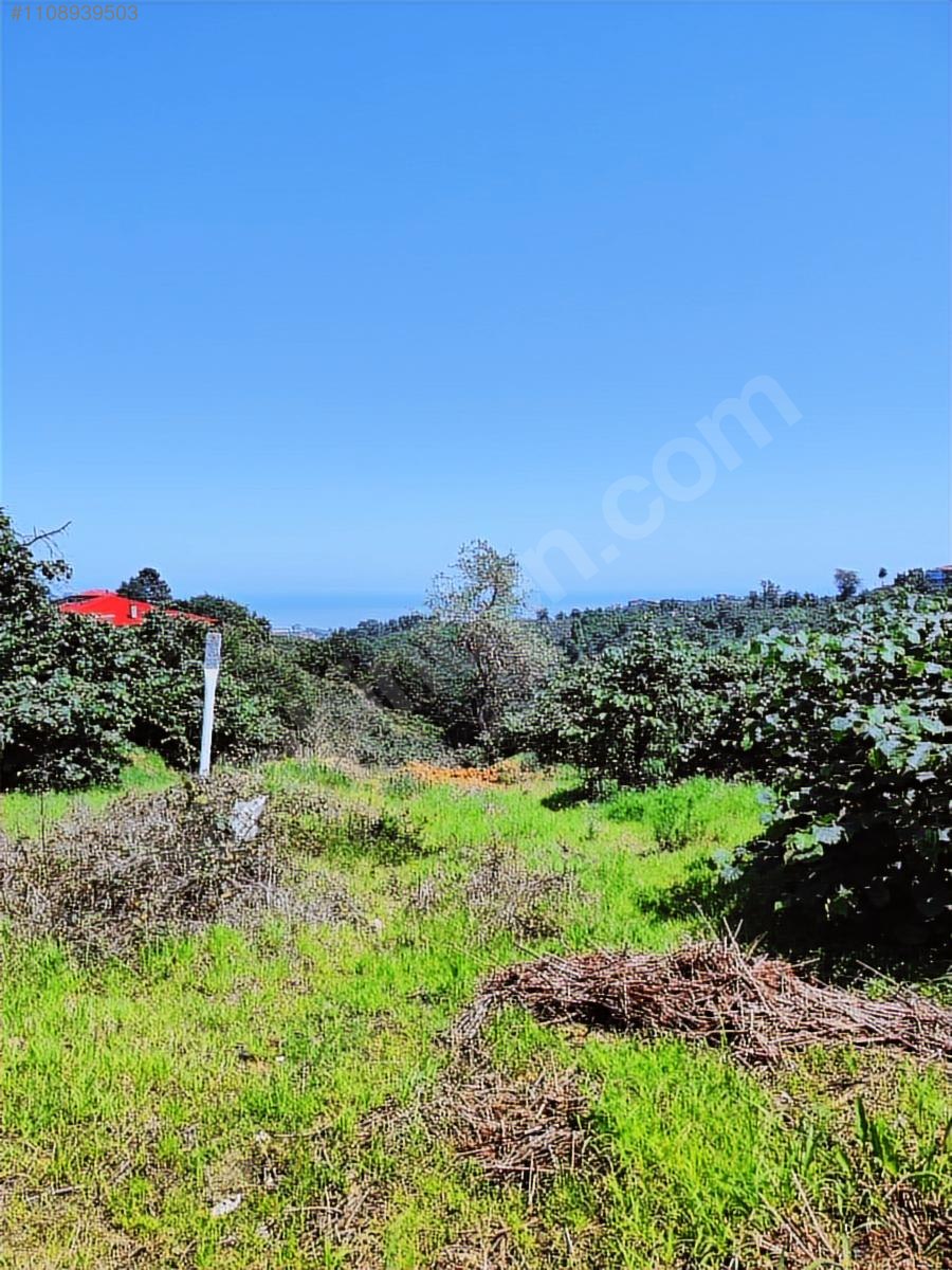 BULANCAK PAZARSUYUN,DA SATILIK EVLİK ARAZİ TAKASA AÇIK - GİRESUN BULANCAK fotoğraf 3
