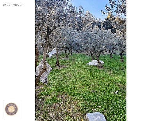 KESTEL GÖLBAŞİNDA İÇİNDE HAVUZLU 2 KATLI YAPI MEVCUT - BURSA KESTEL fotoğraf 11