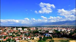 ARAÇ TAKASLI 3.150 M2, İLÇEYE 5 DK MESAFEDE YATIRIM FIRSATI - BİLECİK SÖĞÜT fotoğraf 4