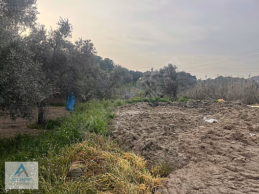 Atlantik gayrimenkul den satılık arsa - İZMİR ÖDEMİŞ fotoğraf 12