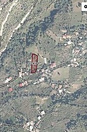 1500 m2 arsalı müstakil ev + 3200 m2 fındık bahçesi - ARTVİN BORÇKA fotoğraf 3