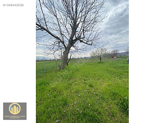 KUCUK YENICEDE RESMI YOLA CEPHE HOBI BAHCESI - BURSA İNEGÖL fotoğraf 8