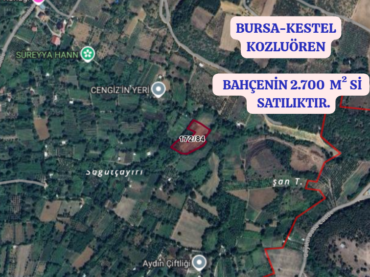BURSA KESTEL KOZLUÖREN KÖYÜNDE  BAHÇENİN 2.700 M² Sİ SATILIKTIR. - BURSA KESTEL fotoğraf 2
