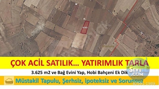 Çok Acil Satılık Yatırımlık Tarla - ANTALYA KORKUTELİ fotoğraf 3