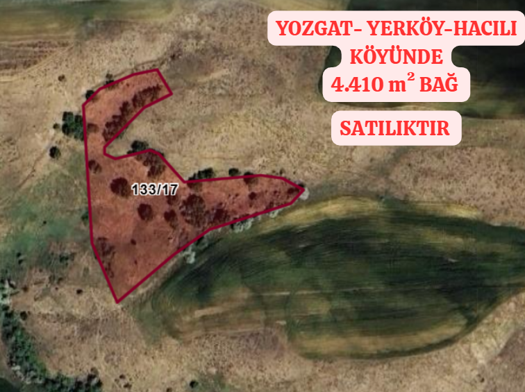YOZGAT YERKÖY HACILI  KÖYÜNDE 4.410 M² BAĞIMIZ SATILIKTIR. - YOZGAT YERKÖY fotoğraf 2