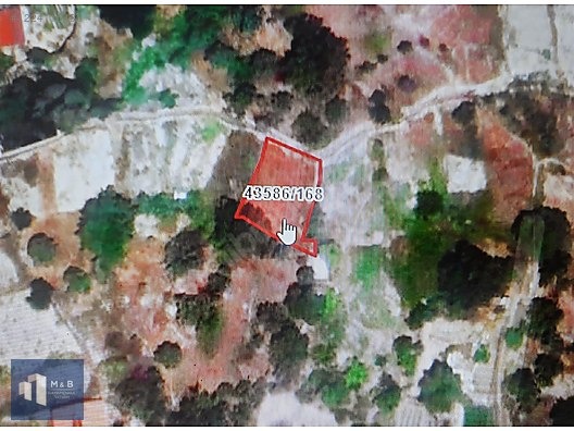 SARAYKÖY'DE SATILIK MÜSTAKİL 248 M2 BAHÇE - KONYA SELÇUKLU fotoğraf 5