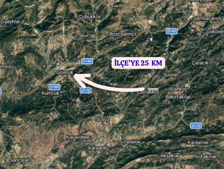 BOLU GÖYNÜK ÇAYLAK    KÖYÜNDE 768  M²  TARLA  SATILIKTIR - BOLU GÖYNÜK fotoğraf 6