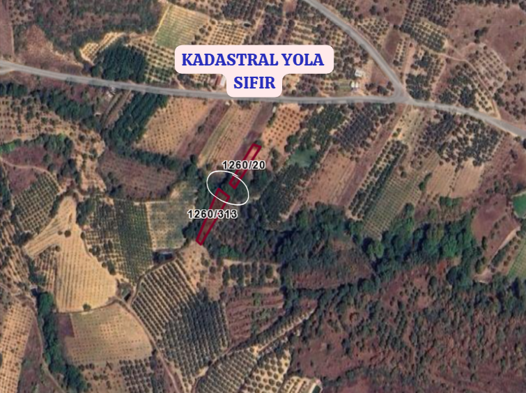 BURSA İZNİK TACİR  KÖYÜNDE 650  M² TARLA  SATILIKTIR - BURSA İZNİK fotoğraf 3