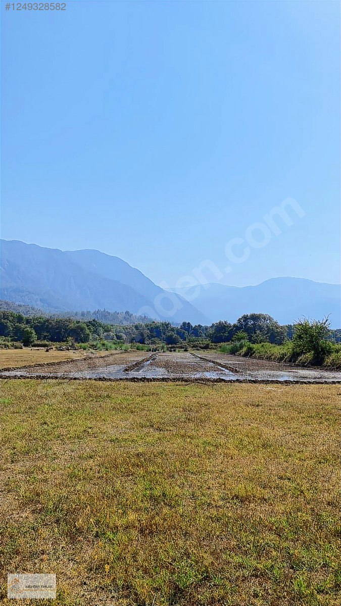 AIRPORT EMLAKTAN KÖYCEĞİZ TOPARLARDA YATIRIMLIK SATILIK TARLA - MUĞLA KÖYCEĞİZ fotoğraf 9