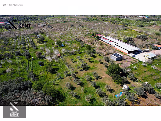 Kemalpaşa Armutlu Satılık Arazi 4.000 m2 - İZMİR KEMALPAŞA fotoğraf 4