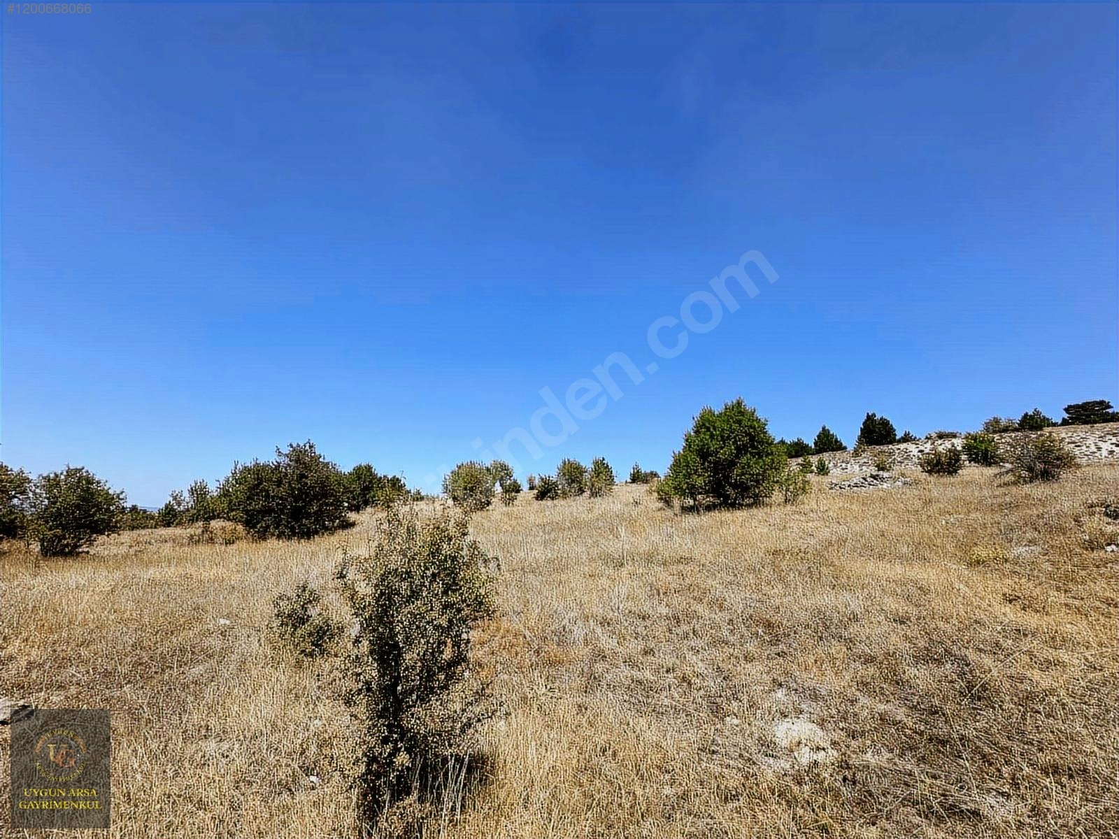 BOLU KIBRISCIK SARIKAYA'DA 8.370 M2 UYGUN ARSA - BOLU KIBRISCIK fotoğraf 6