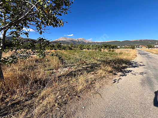 GÖNEN'DE İMARA YAKIN GÜL BAHÇESİ - ISPARTA GÖNEN fotoğraf 9