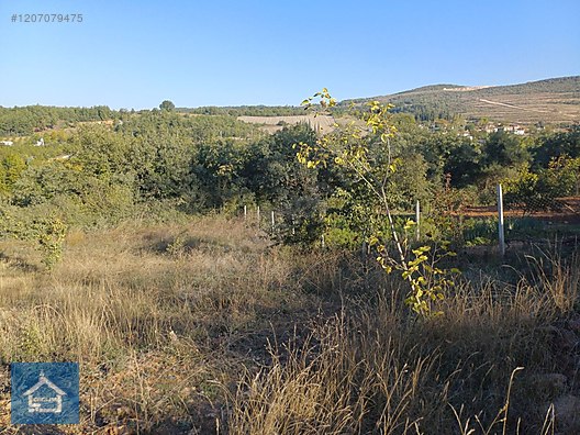 ÇAĞLAR'DAN TOPRAKDERE DE 823m2 MÜSTAKİL TARLA YOL+SU VAR - BURSA YENİŞEHİR fotoğraf 3