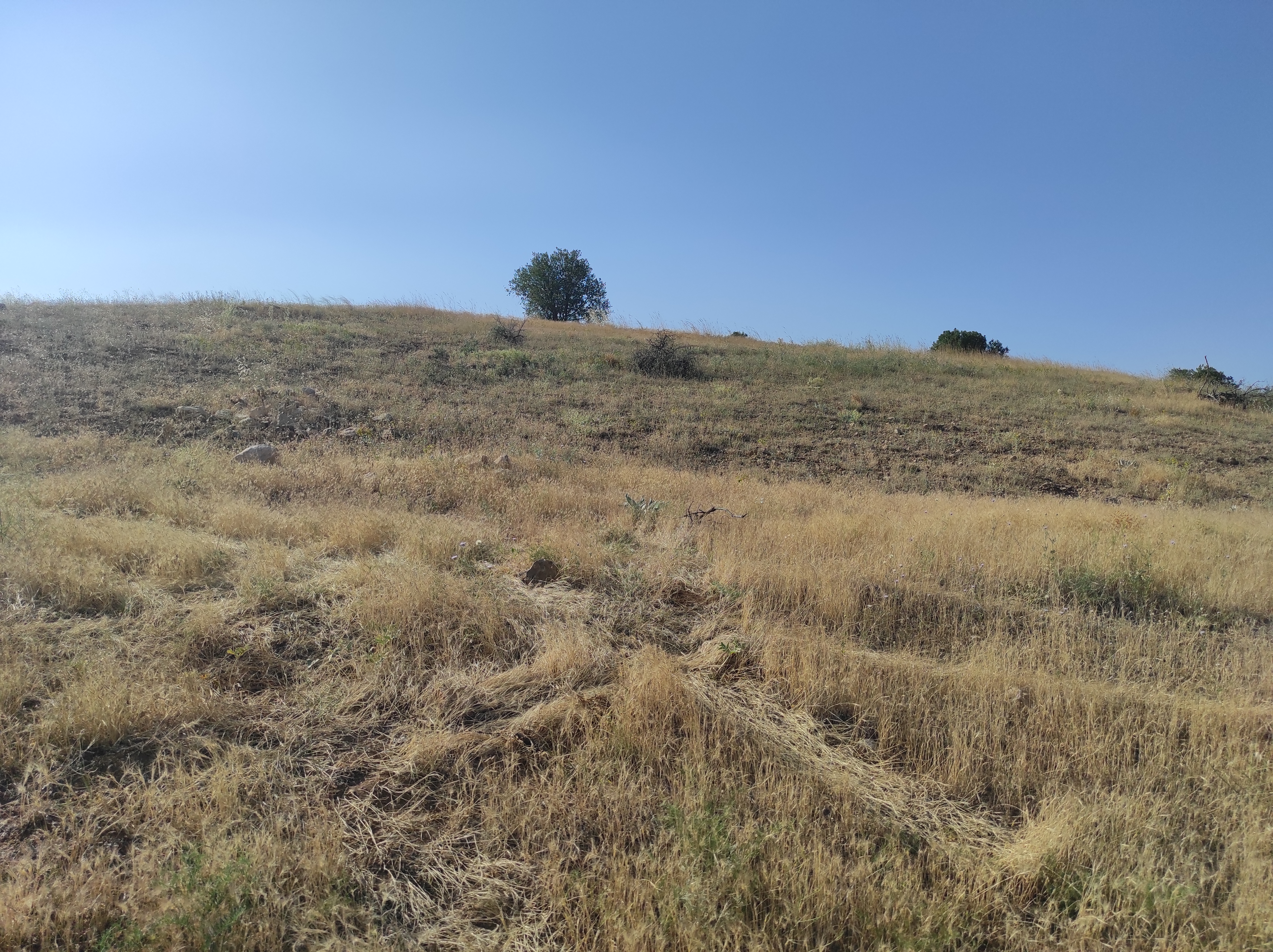 KONYA GÜNEYSINIR AĞRAS  KÖYÜNDE 8.433  M² TARLA  SATILIKTIR - KONYA GÜNEYSINIR fotoğraf 15