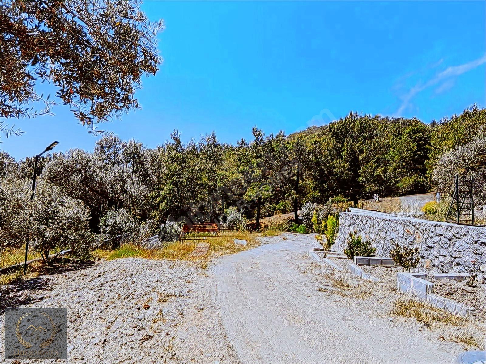 Fethiye Eldirek'te Müstakil Tapulu, Yolu su Mevcut 1.232 m² T - MUĞLA FETHİYE fotoğraf 16