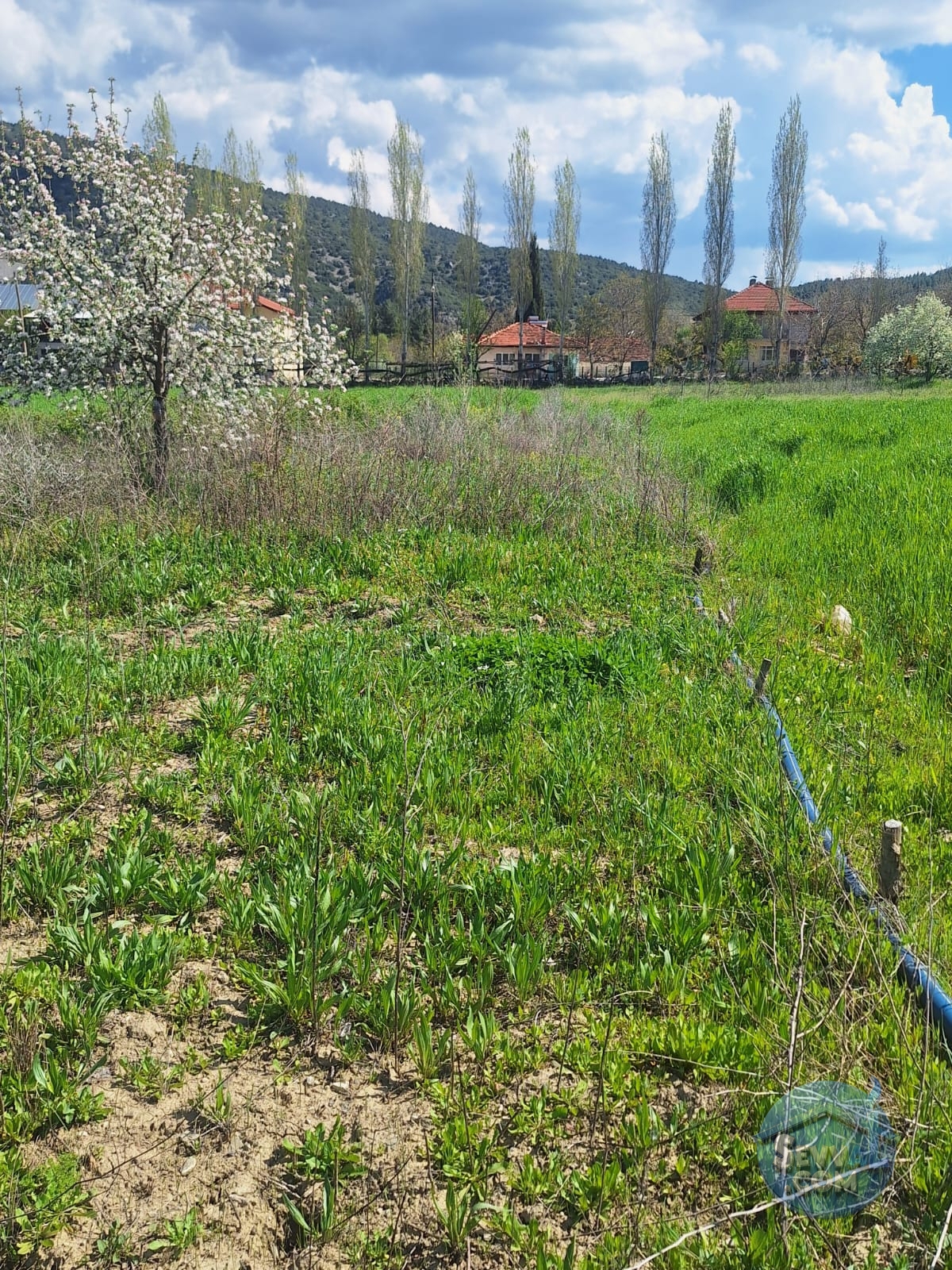 AĞLASUN KİBRİT KÖYÜNDE SATILIK FIRSAT ARAZİ - Burdur Ağlasun fotoğraf 9