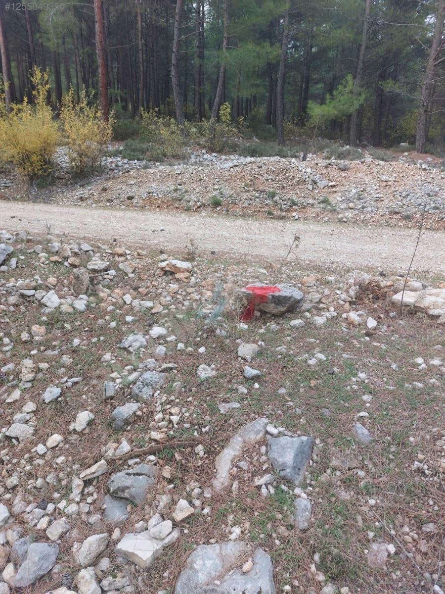 Antalya / Kumluca / Karacaören Mahallesinde 2.492 m² SATILIK ARSA - ANTALYA KUMLUCA fotoğraf 6