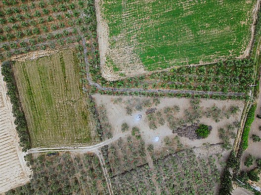 ARYA'DAN EDREMİT ÇIKRIKÇI'DA 5000 M2 TARLA