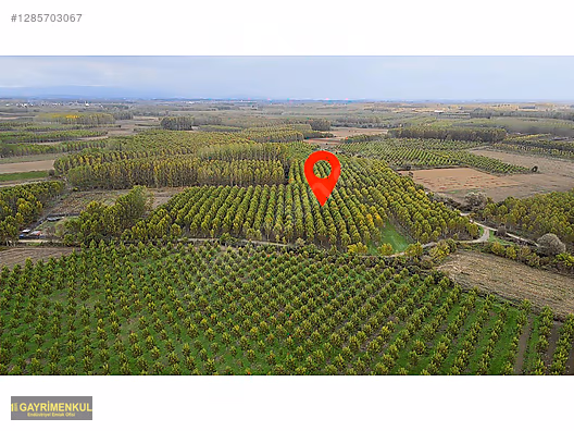 YATIRIM FIRSATI! ERENLER/ŞEYHKÖY MAH. 24.620 M² - SAKARYA ERENLER fotoğraf 17