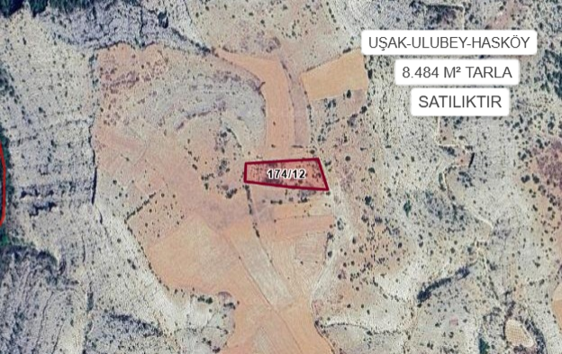 UŞAK ULUBEY HASKÖY KÖYÜ’NDE 8484 M² TARLA SATILIKTIR - UŞAK ULUBEY fotoğraf 2