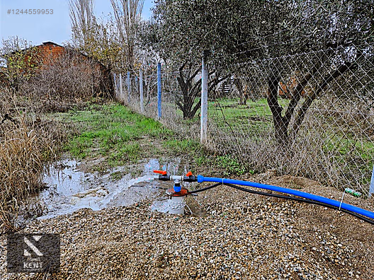 Kemalpaşa Armutlu Satılık 1120 m2 Bahçe - İZMİR KEMALPAŞA fotoğraf 15