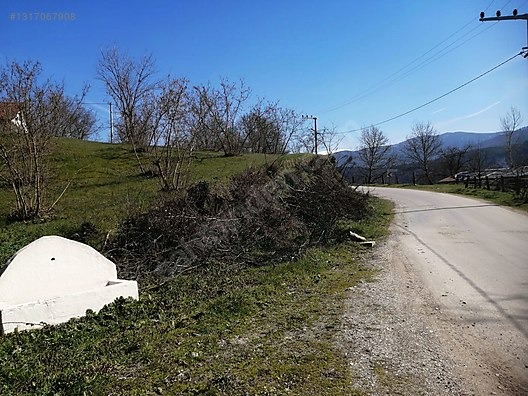 TAŞKESTİ EMLAKTAN ORTAKÖYDE İMARLI FINDIK VE CEVİZ BAHÇESİ - BOLU MUDURNU fotoğraf 4