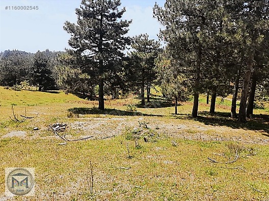 HAVRAN FAZLICA HANLAR MEVKİİ EKO TURİZME UYGUN 12500 M2 TARLA - BALIKESİR HAVRAN fotoğraf 19