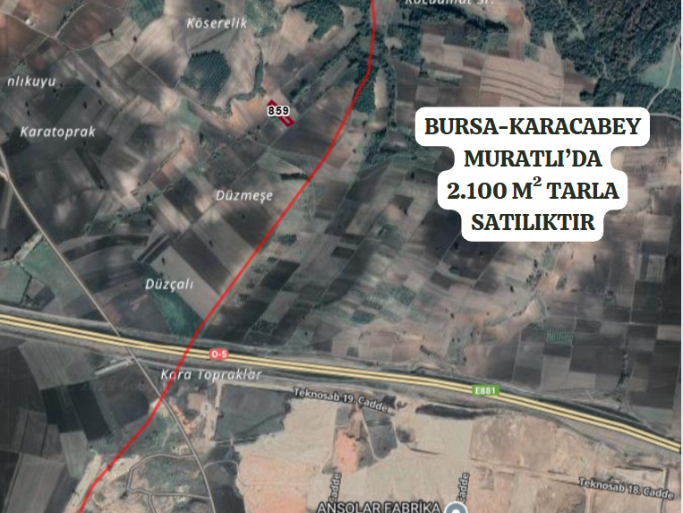 BURSA KARACABEY MURATLI'DA 2.100 M²  TARLA  SATILIKTIR. - BURSA KARACABEY fotoğraf 2